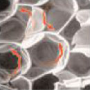 Inhibition de la convection