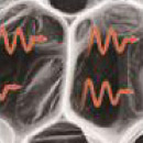 Blocage du rayonnement 