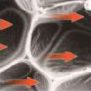 Empêcher la conduction